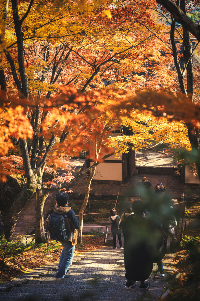 秋の常寂光寺6