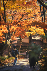 秋の常寂光寺6