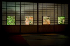 夜の雲龍院5