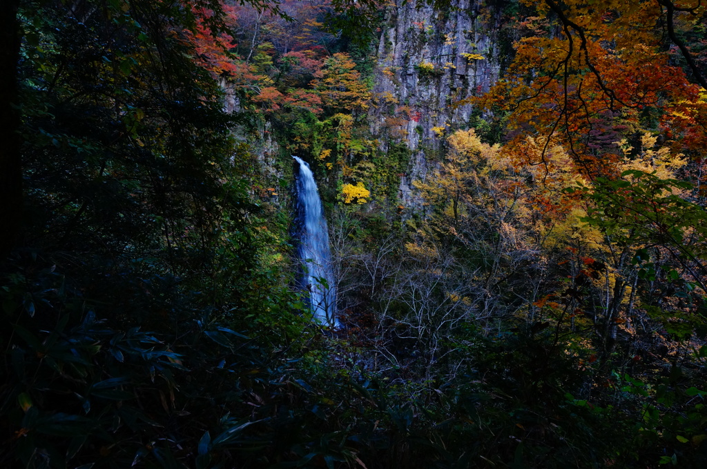 雨滝