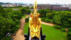 鯱