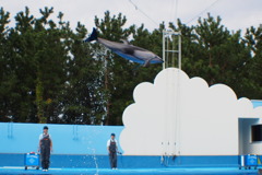 空高く
