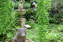 DSC_1024