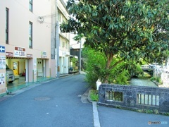 テクテクお散歩♪