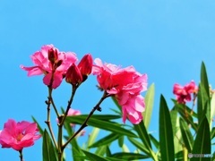 清々しい♪