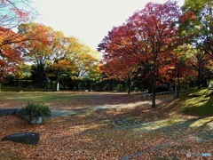 公園の秋