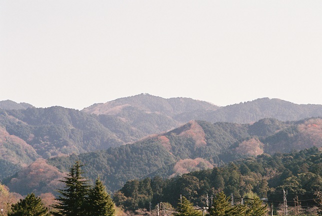 山(^^♪