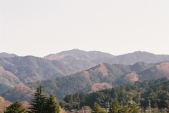 山(^^♪