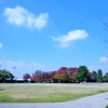 公園広場♪