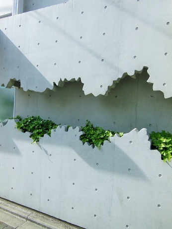 ガブガブ発見！！