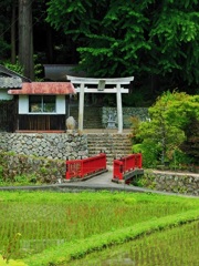田舎の神社♪
