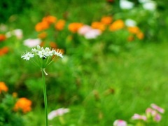 とっても可愛い♪