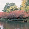 紅葉♪