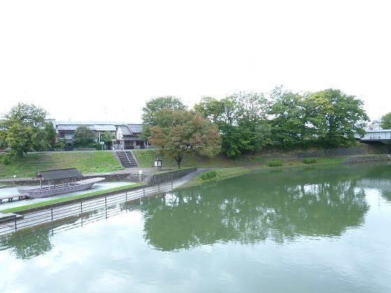 公園♪