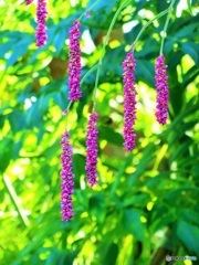 落ち着く♪