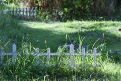 お庭の様な風景♪