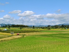 田園♪