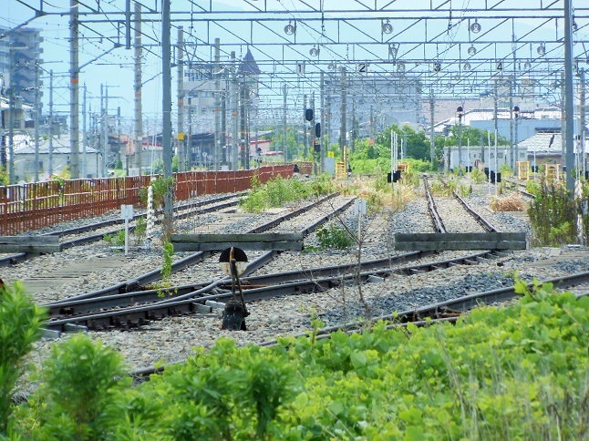 廃線跡♪