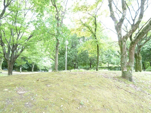 何気ない風景(^^♪