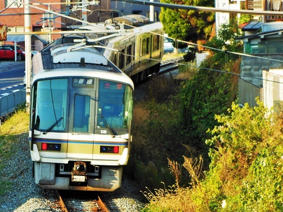 JR221系♪