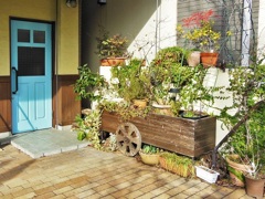 ガーデンカフェ♪