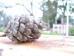 あったとさ(^^♪