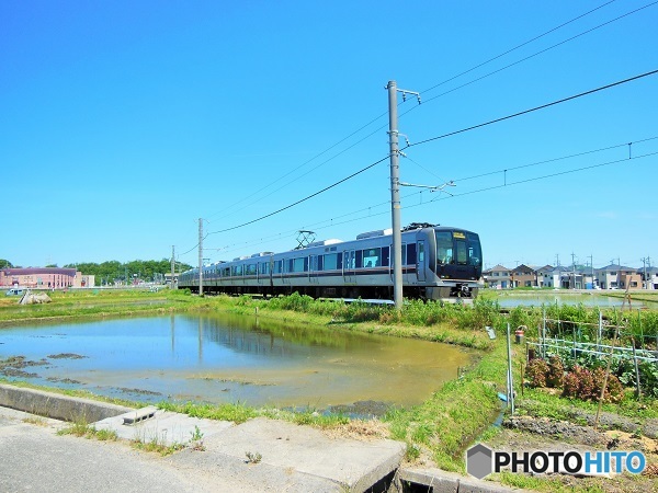 田圃