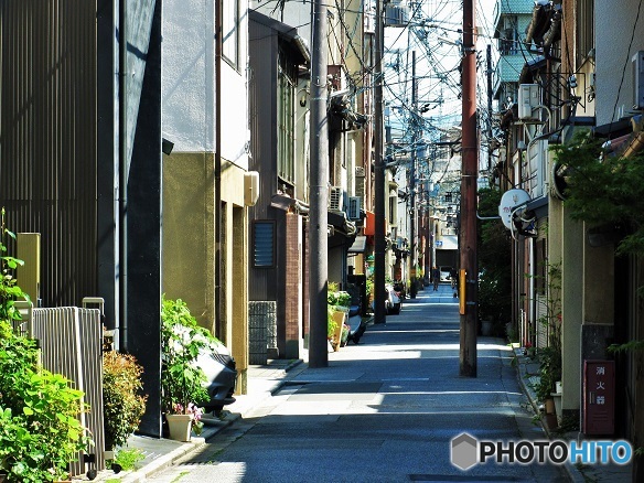 お散歩スナップ♪