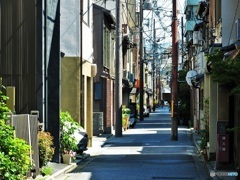 お散歩スナップ♪