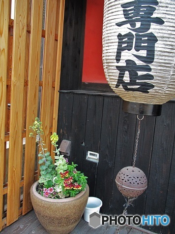 店前のお花