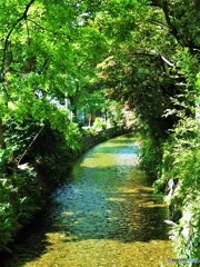 静かな川♪