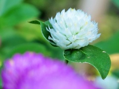 雰囲気そのまま０４