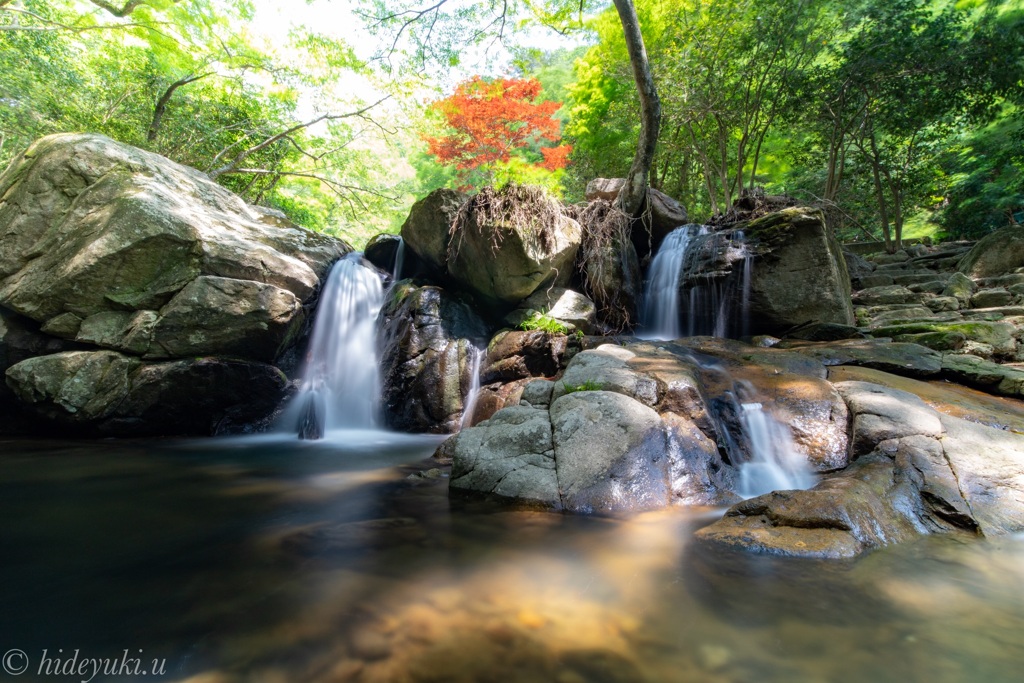 初夏の滝