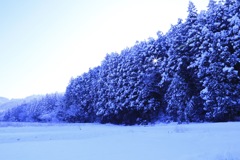 雪化粧