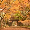 orange〜金蔵院〜