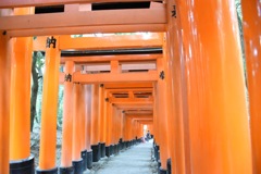 千本鳥居