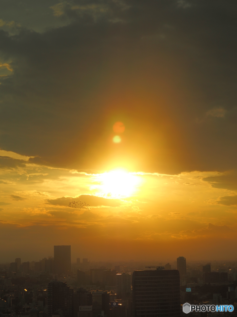 夕日(3)