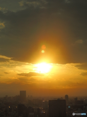 夕日(3)