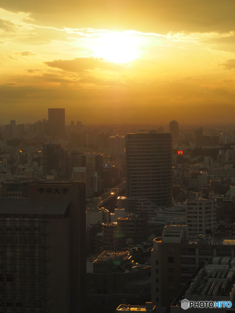 夕日(4)