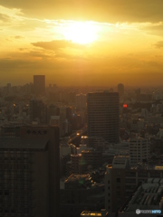 夕日(4)