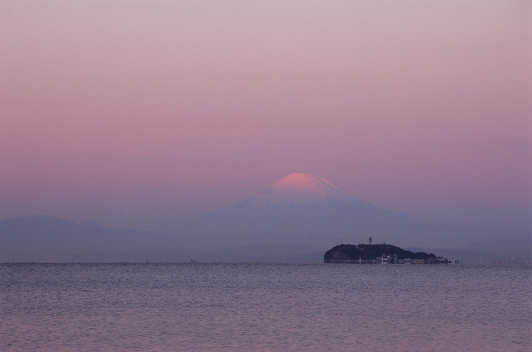 薄紅
