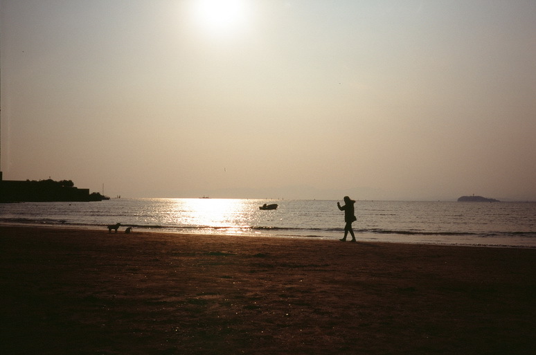 いつもの海26