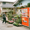 花屋さん