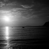海