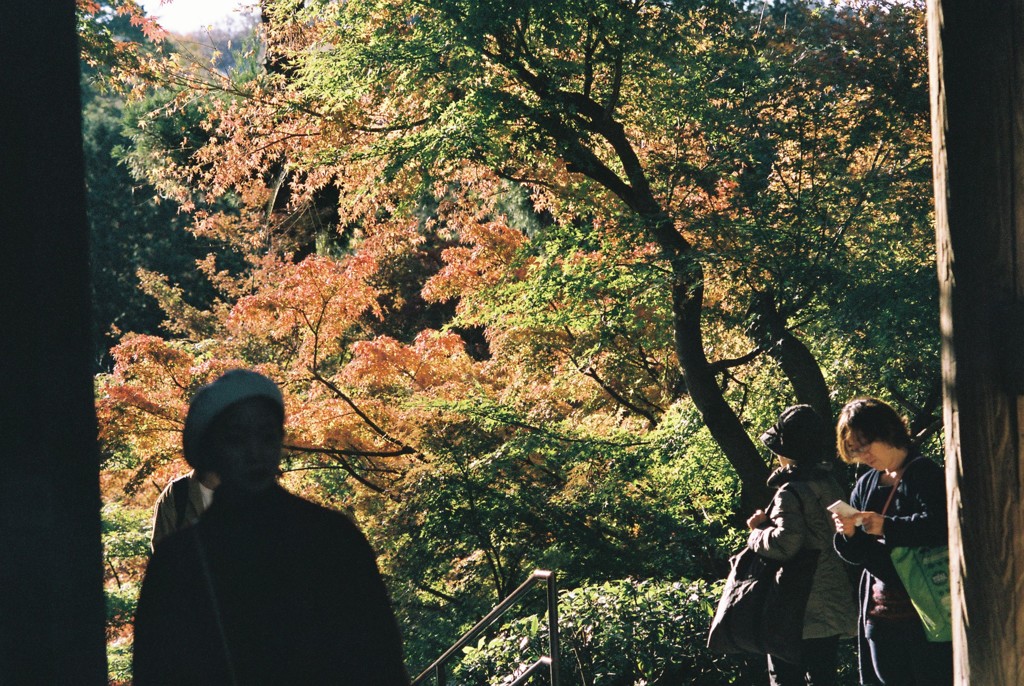 錦秋（写真句）