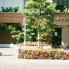 スナップ 4