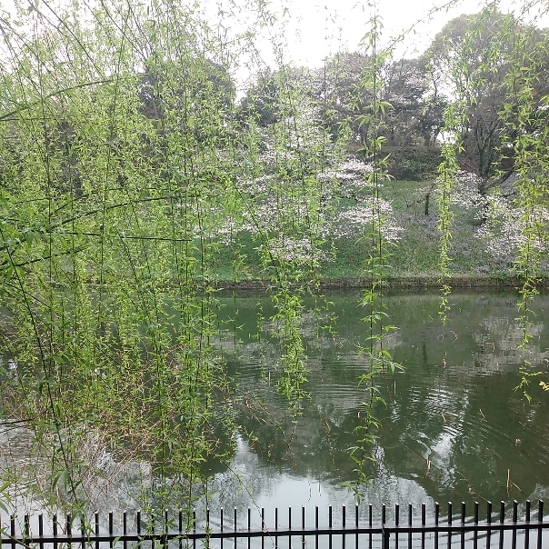 早春賦