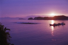 母なる湊（写真句）