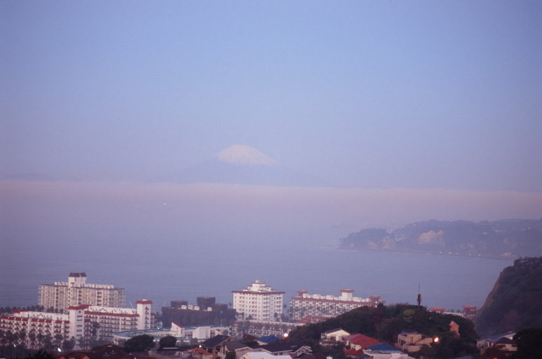 霧の朝