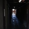 京都-路